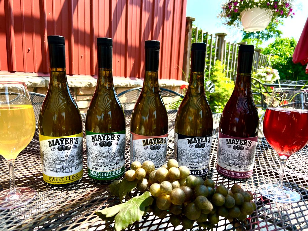 Picture of Cider at Mayers Lake Ontario Winery